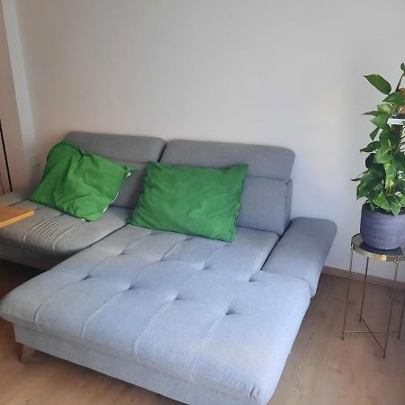 Schone Wohnung In Der Grazer Innenstadt Ngoại thất bức ảnh