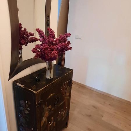 Schone Wohnung In Der Grazer Innenstadt Ngoại thất bức ảnh
