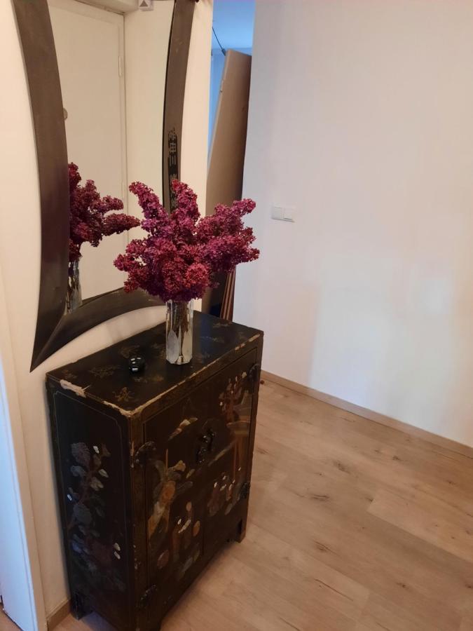 Schone Wohnung In Der Grazer Innenstadt Ngoại thất bức ảnh